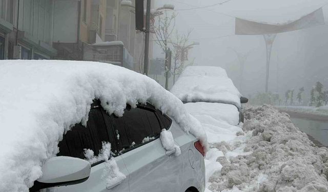Hakkari'de karın ardından yoğun sis etkisini artırdı