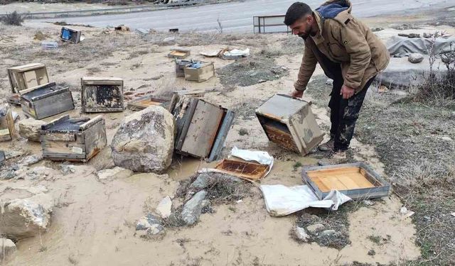 Hakkari’de sel felaketi arıcılığı vurdu: 150 kovan zarar gördü
