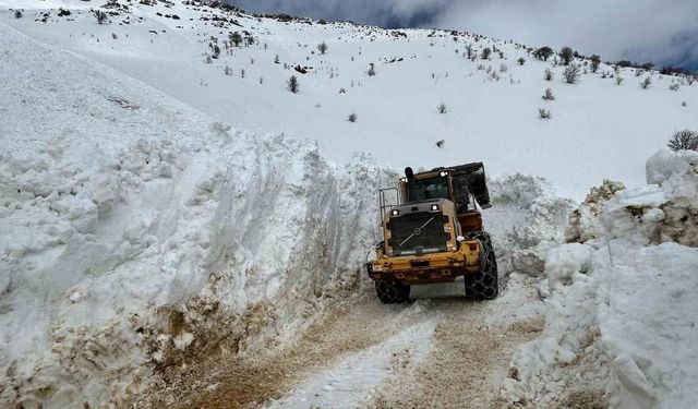 Hakkari'de tüm köy ve mezra yolları tek tek açıldı