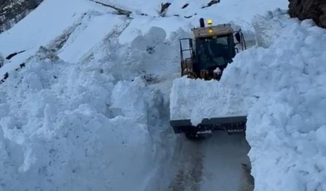Hizan’da korkutan çığ: Köy yolu kapanınca ekipler harekete geçti