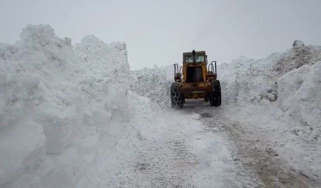 Karlıova'da karla mücadele devam ediyor