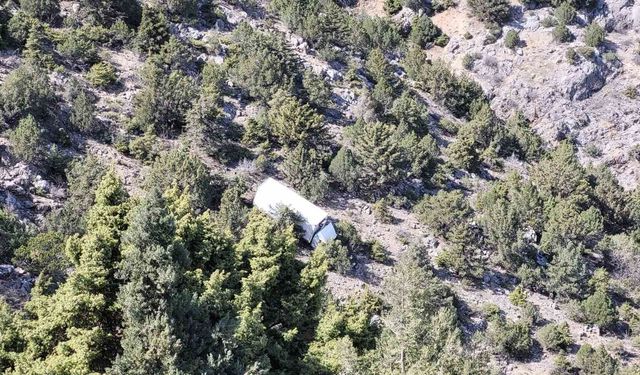 Kemaliye'de kamyonun freni boşaldı, sonu uçurum oldu