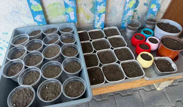 Nevruz öncesi Iğdır’da semeni hazırlıkları başladı