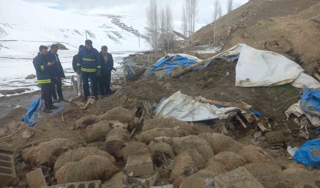 Van'da ahır faciası, 23 küçükbaş hayvan telef