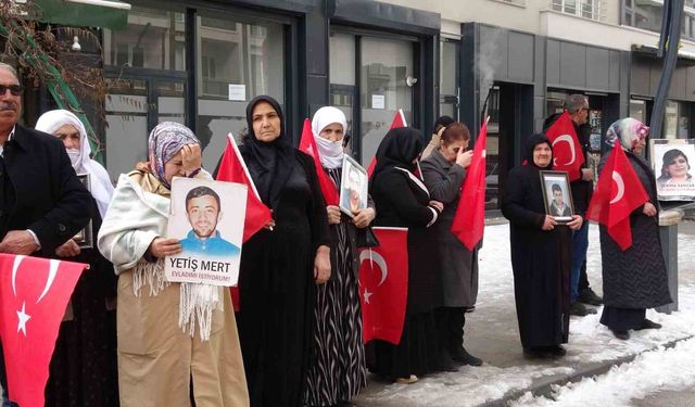 Vanlı annenin yürek burkan feryadı: 'Artık çocuklarımızı gömmeyelim, silahlarımızı gömelim'