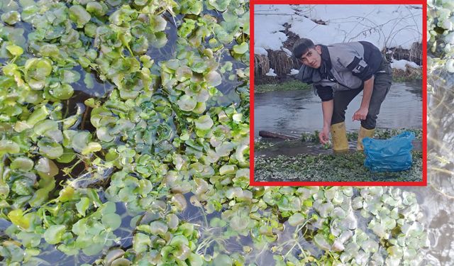 Ahlat’ta iftar sofraların vazgeçilmezi "Godumluk"