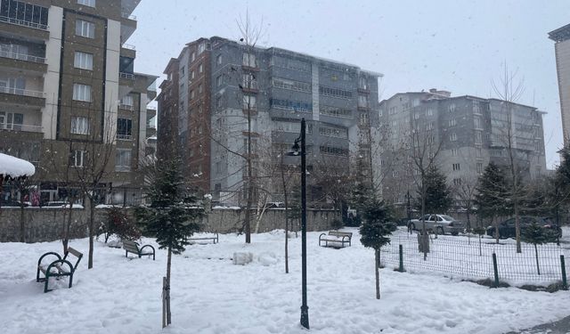 Tatvan’da kar yağışı yeniden etkili oldu