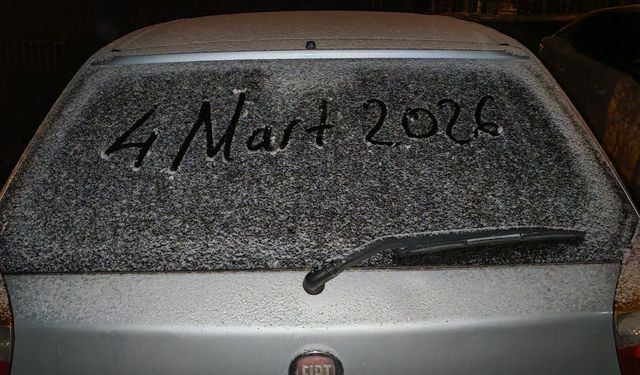 Bitlis’te soğuk hava araçları buzla kapladı