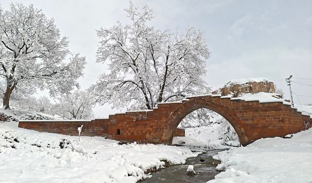 Ahlat’ta beyaza bürünen tarihi mekânlar görsel şölen sundu