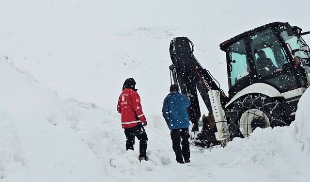 Süphan Dağı tırmanışına kar ve tipi engeli