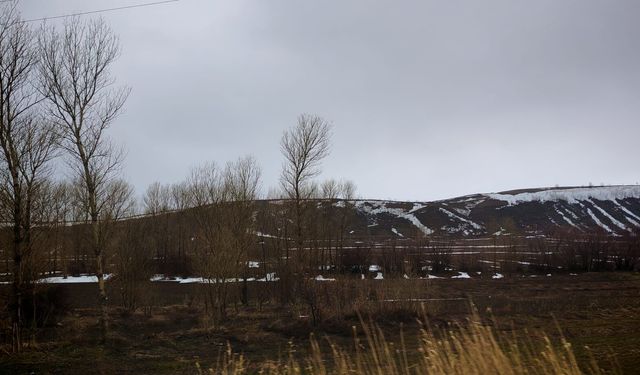 Bitlis’te yamaçlardaki karlar eriyor, doğa yeniden uyanıyor