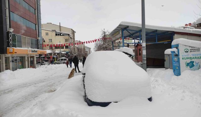 Ardahan nisan ayında beyaza büründü