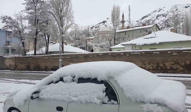 Başkale'de nisan ayında kar yağışı sürüyor