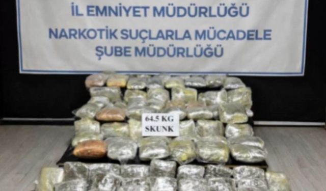 Hakkari'de 64,5 kilogram skunk yakalandı