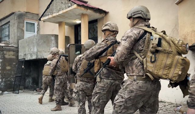 Hakkari'de kaçakçılık şebekesine darbe