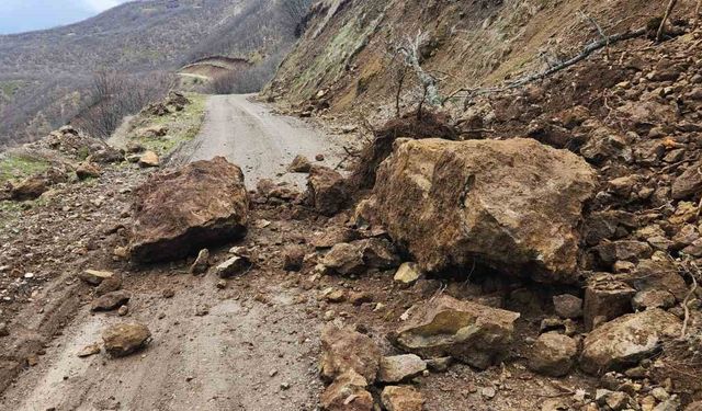 Karakoçan'da heyelan meydana geldi