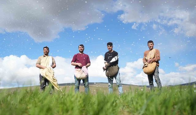 Muş’ta imece geleneği sürüyor: Çiftçiler gübreyi el birliğiyle attı