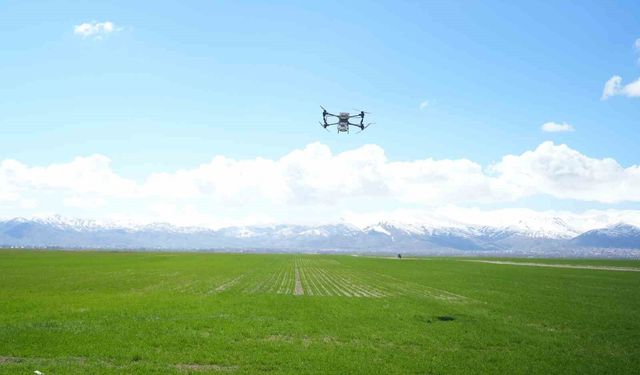 Muş’ta verim için 42 bin dönüm araziye drone destekli gübreleme