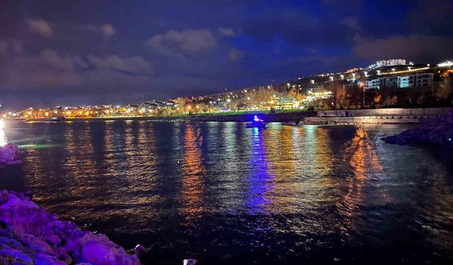 Van Gölü'ne düşen şahıs için ekipler seferber oldu