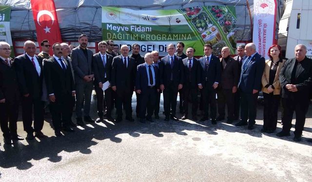 Van’da ağaçlandırma seferberliği: 5 yılda 4 buçuk milyon fidan hayat buldu