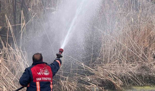Van'da sazlık alanda yangın çıktı