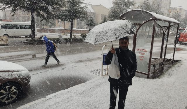 Ahlat’ta Nisan karı etkili oluyor
