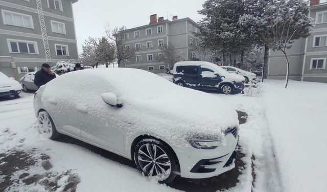 Ahlat’ta Nisan soğuğu: Kar yağışı etkili oldu