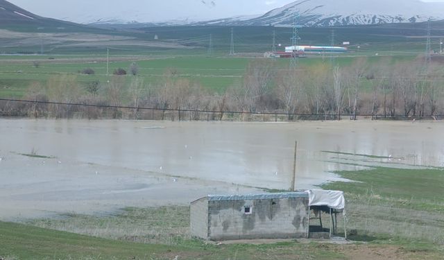 Ahlat’ta tarım arazileri sular altında