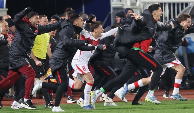 Milli Takım, Dünya Kupası'nda