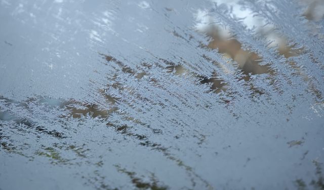 Bitlis’te kar yerini dona bıraktı: Vatandaşlar zirai don endişesi yaşıyor