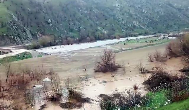 Bitlis’te dereler taştı, araziler sular altında kaldı