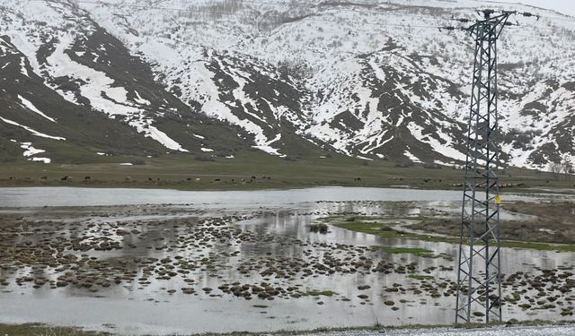 Tatvan’da tarlalar göle döndü