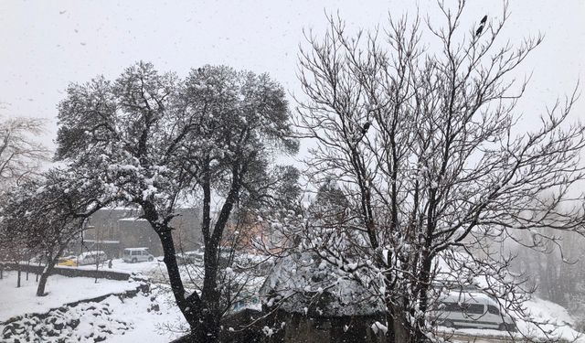 Bitlis’te kar yağışı ulaşımı aksattı: 82 köy yolu kapandı