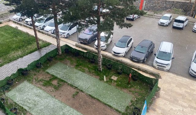 Bitlis’te dolu yağışı meyve ağaçlarına zarar verdi