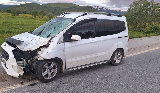 Güroymak’ta ticari araç ineğe çarptı: Hayvan telef oldu
