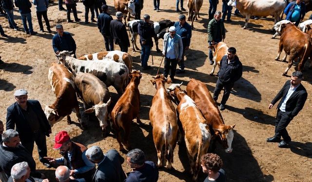 Ağrı’da bayram öncesi kurban mesaisi başladı