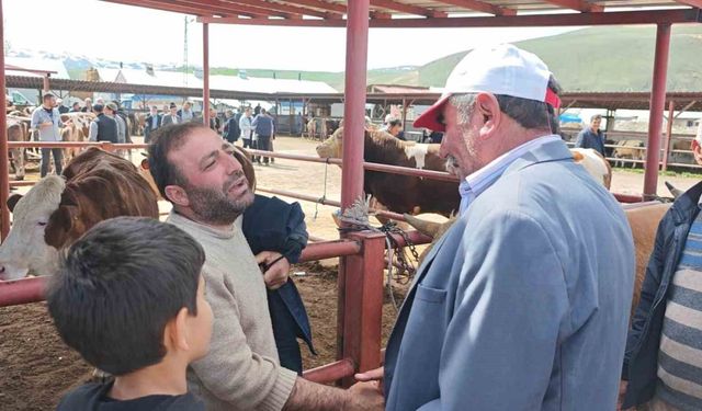 Bayram öncesi kurban pazarları canlandı