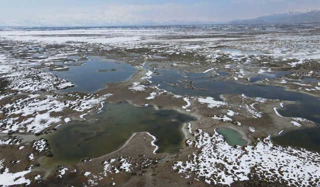 Ekşisu Mesire Alanı’nda doğa mucizesi: 5 farklı kaynak yan yana akıyor