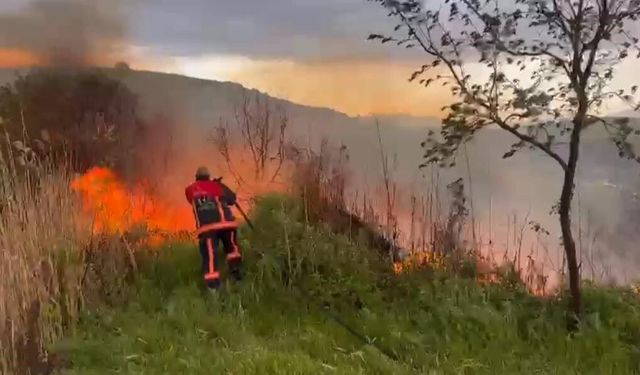 Elazığ'da otluk alanda çıkan yangın korkuttu