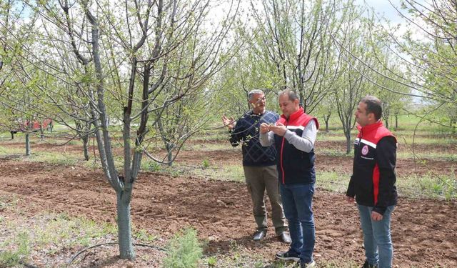 Futboldan tarıma uzanan yolculuk Erzincan’da meyve verdi