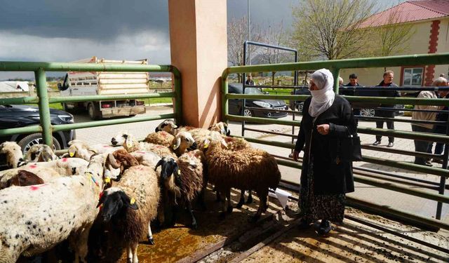 Kadın üreticilere 3 bin küçükbaş hayvan desteği yapıldı