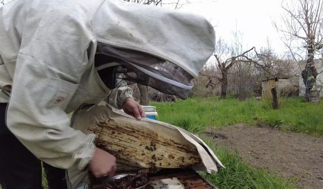 Kars'ta dede mesleğiyle geçim: Arıcılık sezonu açıldı