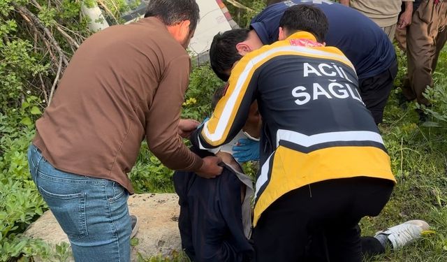 Şemdinli'de minibüs kazası: 3 yaralı