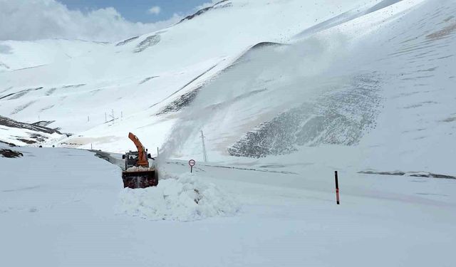 Van-Bahçesaray yolunda çalışma başlatıldı