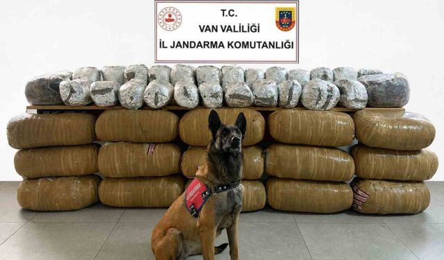 Van’da zehir tacirlerine dev operasyon