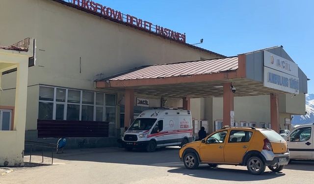 Yüksekova'da otlatma sırasında patlama: Çoban yaralı, 3 koyun telef