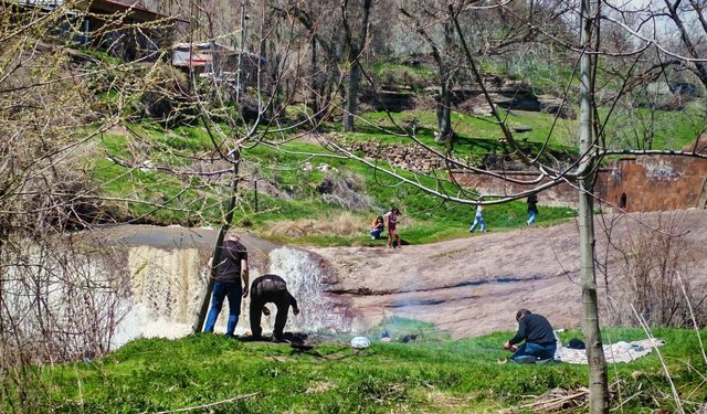Ahlat’ta bahar havası piknik keyfine dönüştü