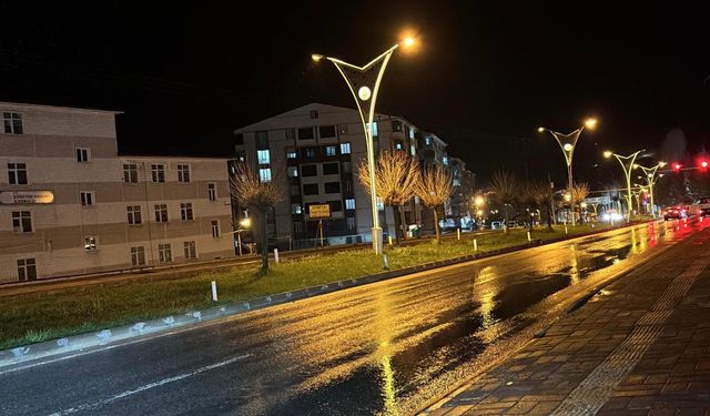 Bitlis’te sağanak yağış etkisini sürdürüyor