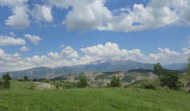 Bitlis Yaylalarında Yaz Havası