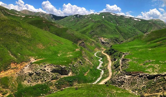 Duav Yaylası Yazın Gelişiyle Yeşile Büründü